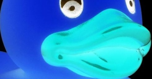 OFIFOTO | dailyprompt