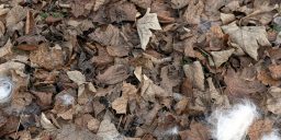 Tag 23.910 | 05.01.2026 | diary &&nbsp;Fotos