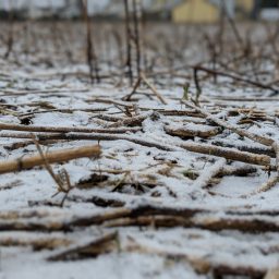 Tag 23.915 | 10.01.2026 | diary &&nbsp;Fotos