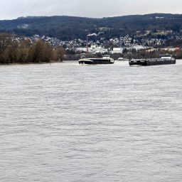 Tag 23.917 |&nbsp;12.01.2026